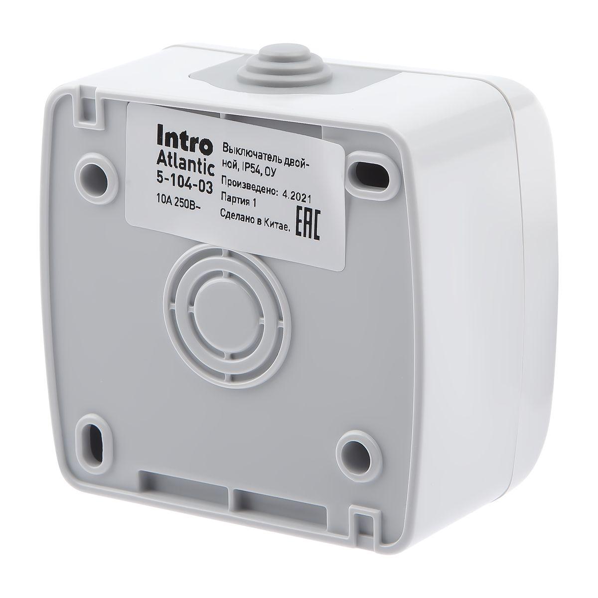 фото выключатель двухклавишный эра 10ax 250v 5-104-03 б0050943 | 220svet.ru