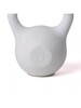 Миниатюра фото аксессуар kettlebell seletti | 220svet.ru