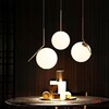 Миниатюра фото подвесной светильник flexic lights family michael anastassiades d20 | 220svet.ru