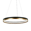 Миниатюра фото подвесной светильник md21001010-1b black/br.gold delight collection | 220svet.ru