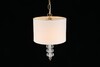 Миниатюра фото подвесной светильник aployt franula apl.724.06.01 | 220svet.ru