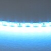 Миниатюра фото светодиодная лента голубая lightstar 12w/m 120led/m 5m 420516 | 220svet.ru
