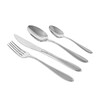 Миниатюра фото набор столовых приборов 24 шт julia face | 220svet.ru