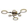 Миниатюра фото потолочный светодиодный светильник f-promo hybrid 4686-7c | 220svet.ru