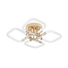 Миниатюра фото потолочный светодиодный светильник escada lacerta 10265/4led | 220svet.ru