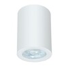 Миниатюра фото потолочный светильник arte lamp tino a1468pl-1wh | 220svet.ru