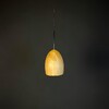 Миниатюра фото подвесной светодиодный светильник imperium loft large oak 213680-22 | 220svet.ru