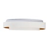 Миниатюра фото потолочный светодиодный светильник myfar ceiling rhea mr9161-cl | 220svet.ru