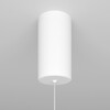 Миниатюра фото подвесной светильник maytoni ray p022pl-l10w | 220svet.ru