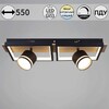 Миниатюра фото потолочный светильник reluce 19560-0.3-2+2 bk+wood | 220svet.ru