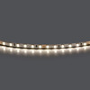Миниатюра фото светодиодная лента 24v 5w 4000k lightstar 420544-01 | 220svet.ru