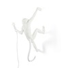 Миниатюра фото настенный светильник monkey lamp outdoor hanging right | 220svet.ru