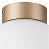 Миниатюра фото настенно-потолочный светильник lightstar globo 812013 | 220svet.ru