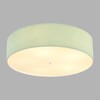 Миниатюра фото потолочный светильник lumion gofera 8326/5 зеленый | 220svet.ru