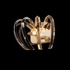 Миниатюра фото настенный светильник loft it dakota 10300w french gold | 220svet.ru