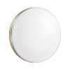 Миниатюра фото настенно-потолочный светильник sonex smalli 3015/cln белый | 220svet.ru