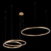 Миниатюра фото подвесной светильник loft it ring 10017/3l | 220svet.ru