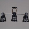 Миниатюра фото потолочная люстра reluce 06074-3.3-03 bk+fg | 220svet.ru
