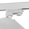 Миниатюра фото трековый светильник mantra sal 6717 | 220svet.ru