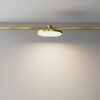 Миниатюра фото трековый магнитный светодиодный светильник maytoni plato flarity tr153-1-10w3k-bs | 220svet.ru