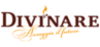 Divinare - купить недорого в интернет магазине 220svet.ru
