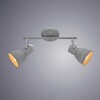 Миниатюра фото спот arte lamp a1677pl-2gy | 220svet.ru