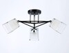 Миниатюра фото потолочная люстра ambrella light traditional modern tr303072 | 220svet.ru