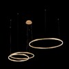 Миниатюра фото подвесной светильник loft it ring 10017/3m | 220svet.ru