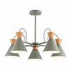 Миниатюра фото потолочная люстра evoluce sle125112-05 | 220svet.ru